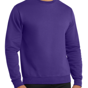 Adult Crewneck Sweatshirt (SF)