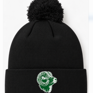 BH UNRL Stocking Cap